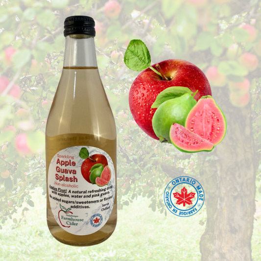 Apple Guava Cider Splash 355ml